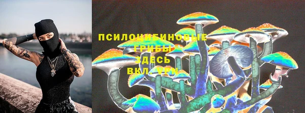 гидропоника Арсеньев