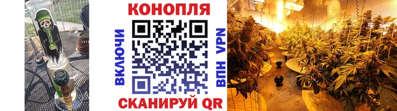 Шишки марихуана план  Красноуральск 